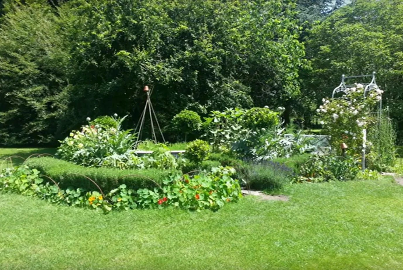 garden.jpg