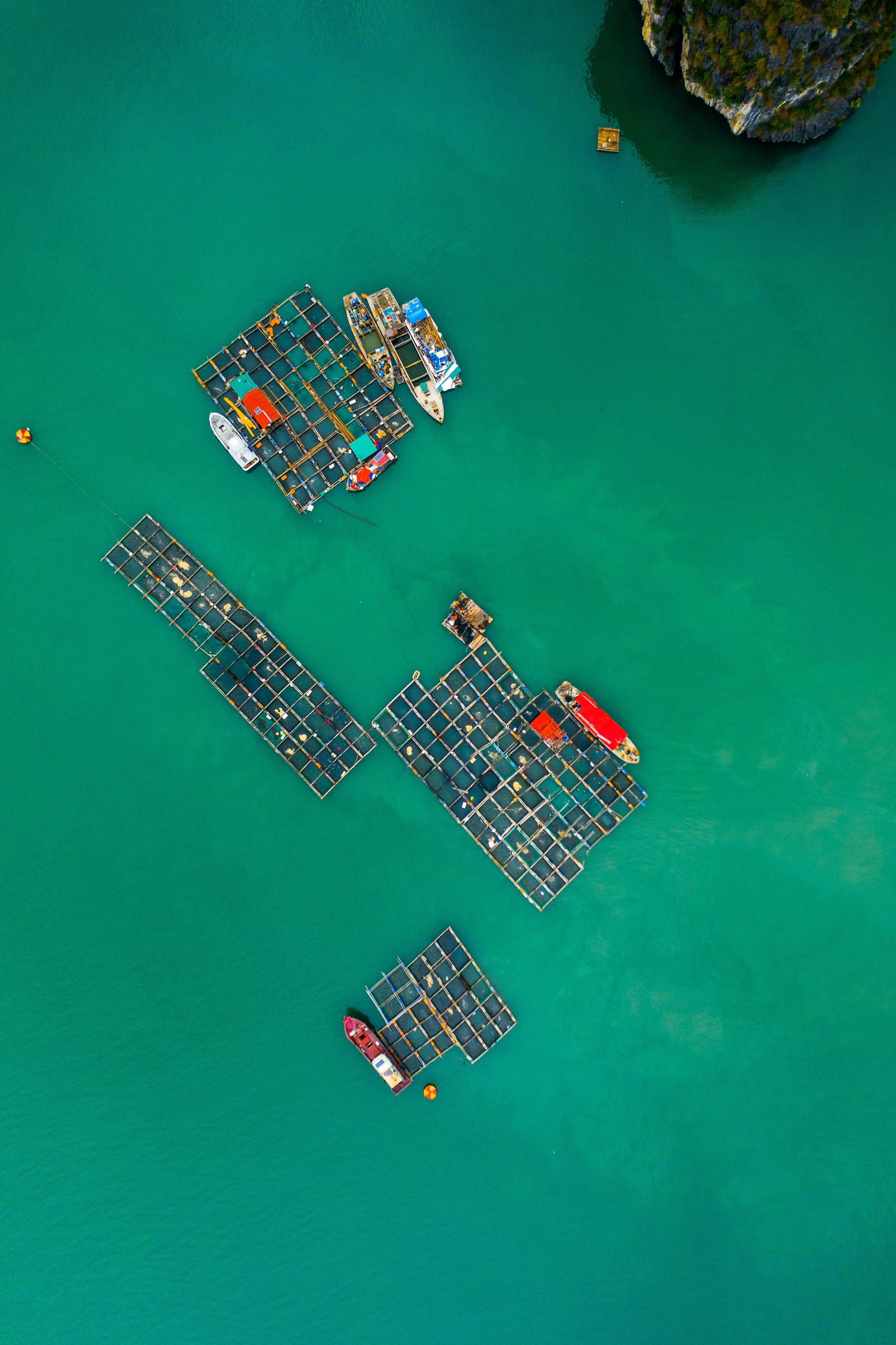DJI_0539.jpg