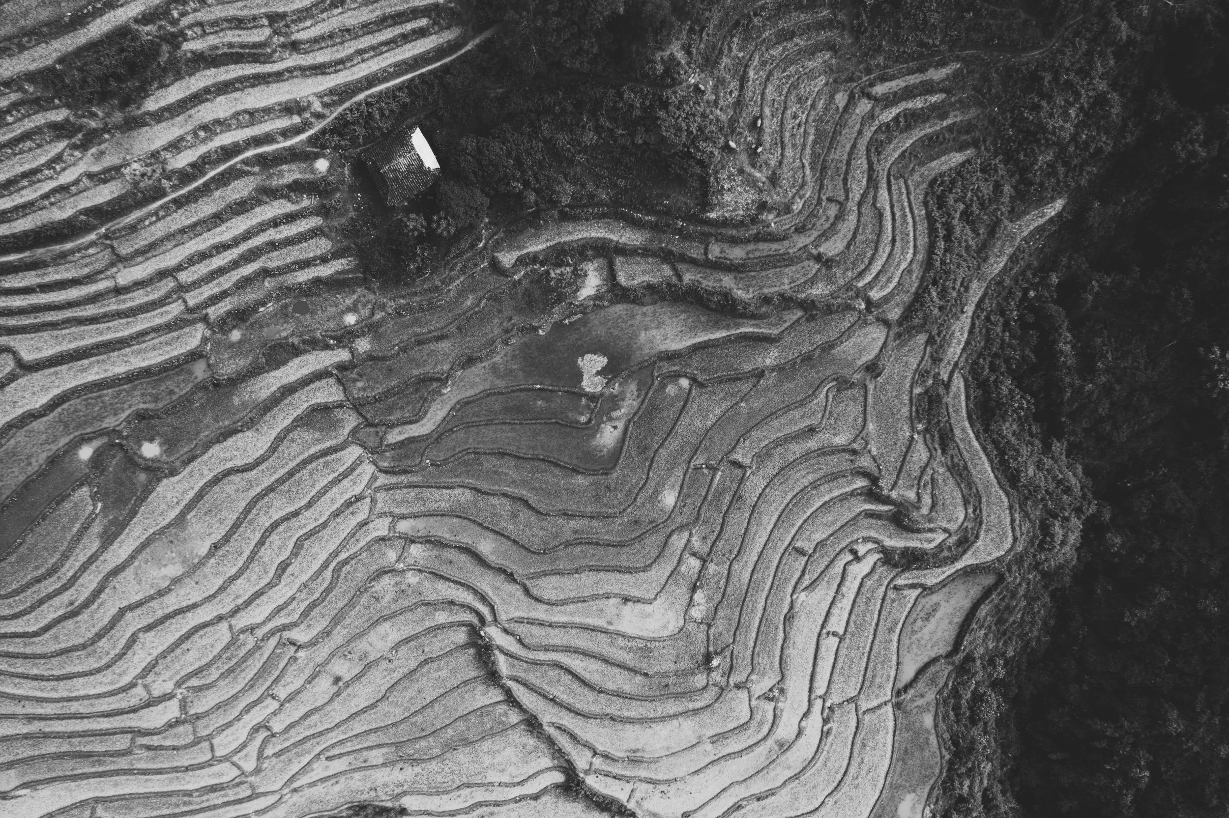 DJI_0692.jpg