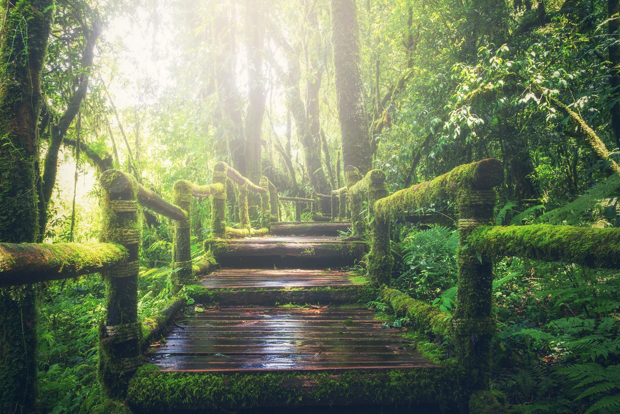 adventure-beautiful-boardwalk-235734.jpg