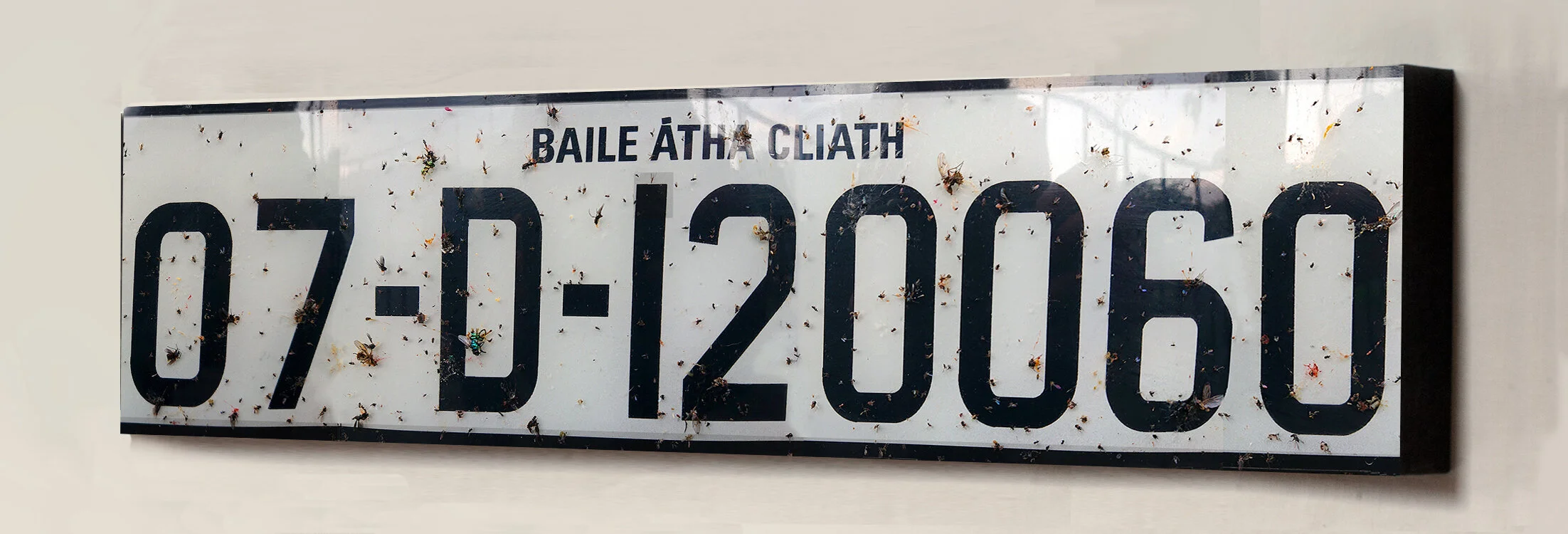 Ireland_Dublin_004_Registration_Plate_001_Mock_Block_Mount.jpg