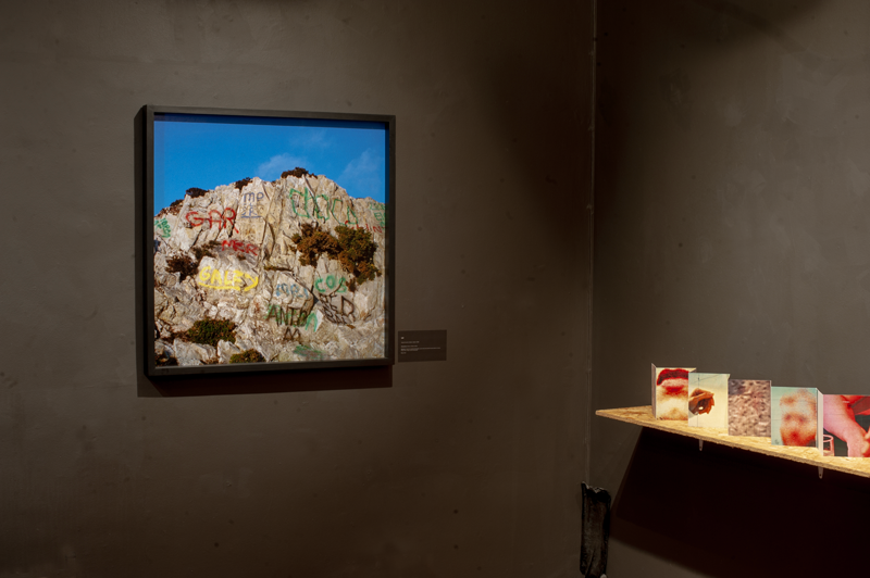 Gallery_X_Exhibition_Photos_Lair_036.png