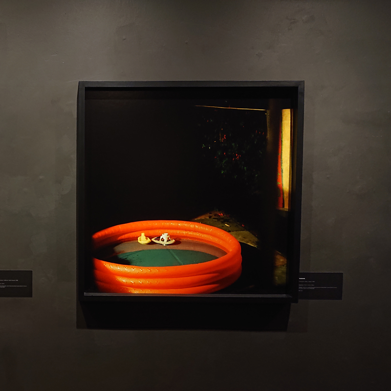 Gallery_X_Exhibition_Photos_Inhabitants_08301.png