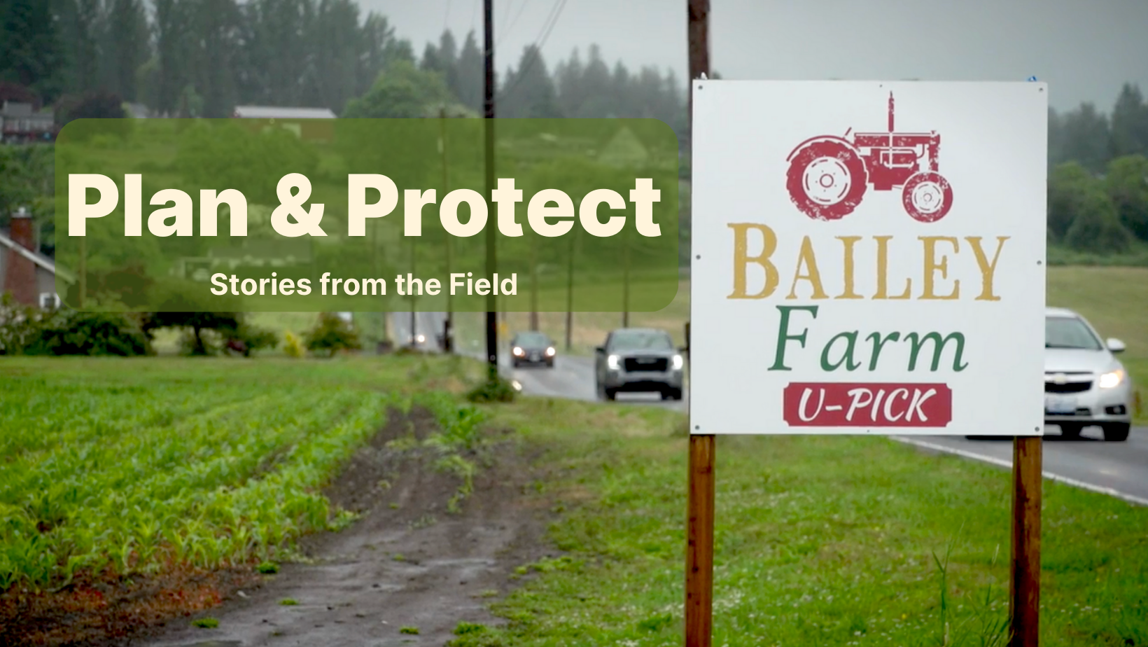 A Bailey Farms U-Pick sign stands between green farm ground and  a busy country road. 