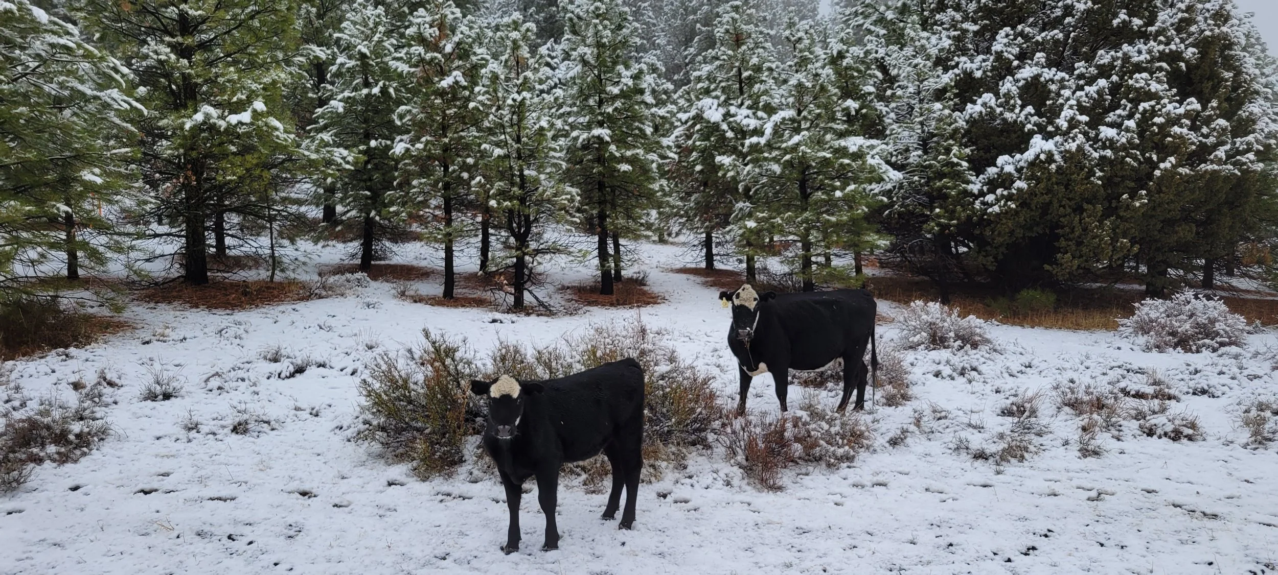 Family Business Owners' Succession Planning Launch Workshop