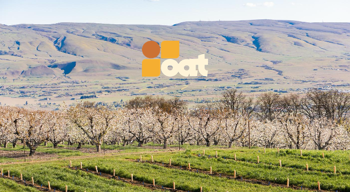 Slide24.png