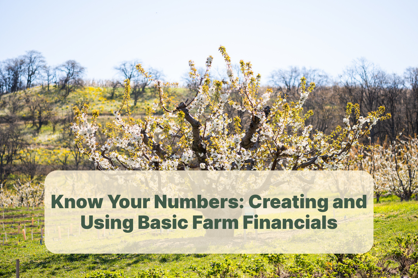 Know Your Numbers:  Creating and Using Basic Farm Financials