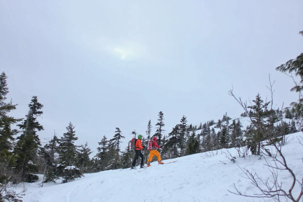 Surf Station: Mid-Winter 2019