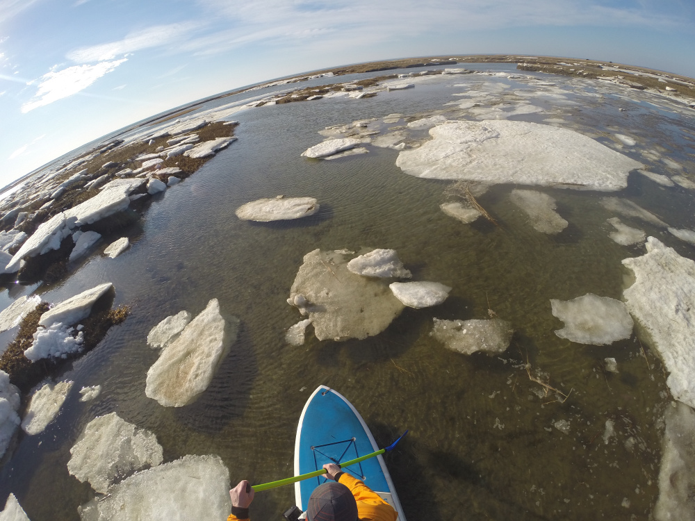 Ice Tour: Winter Paddling on the Cape