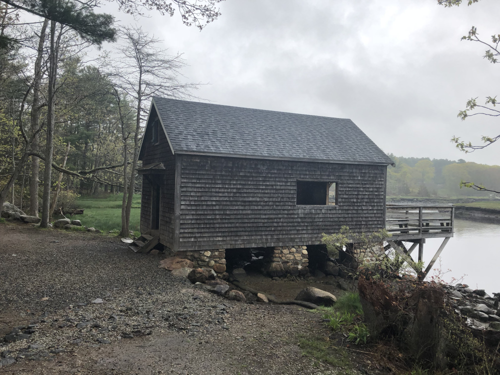 Norris Reservation: A Hidden Gem in Greater Boston