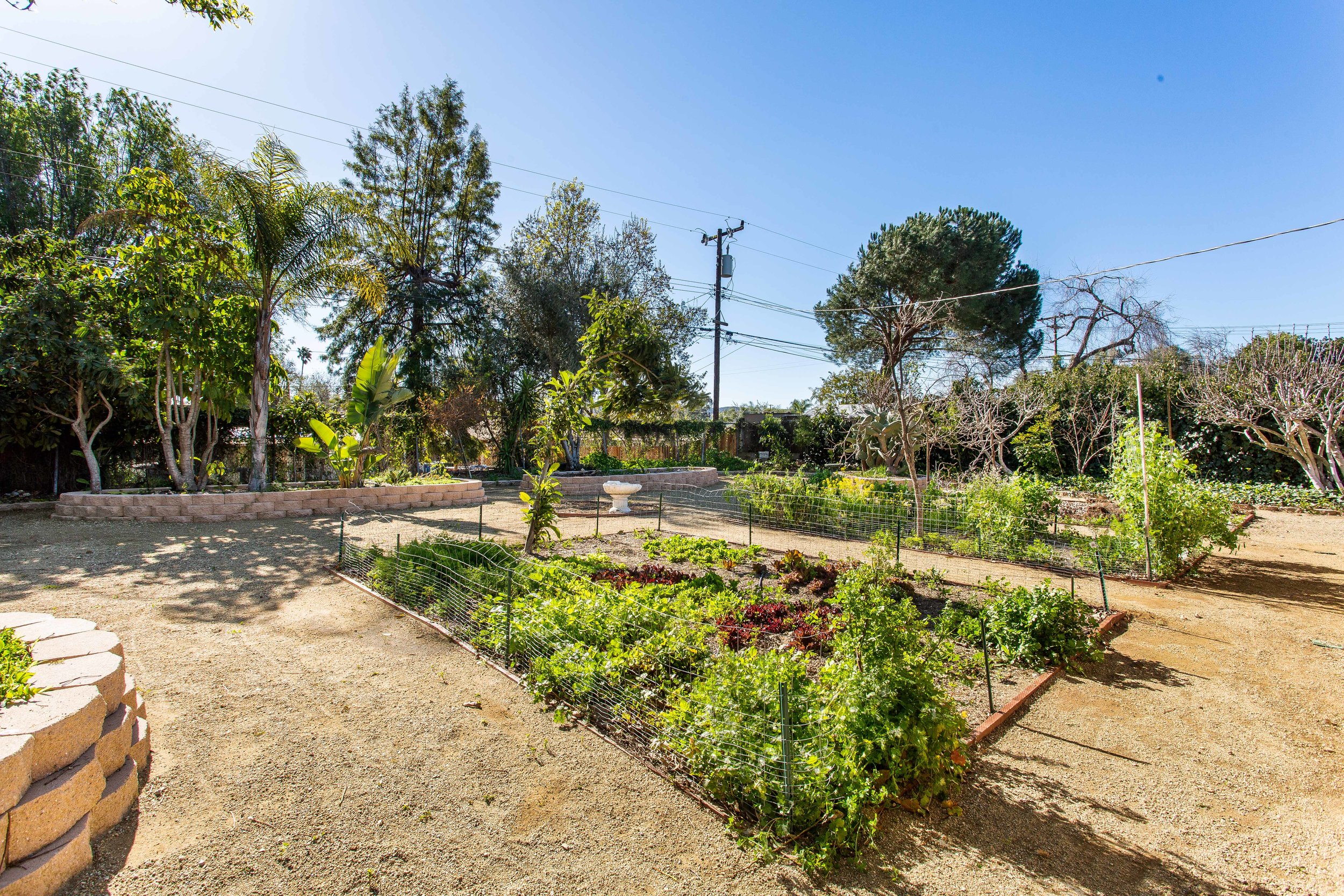 Garden 2.jpg