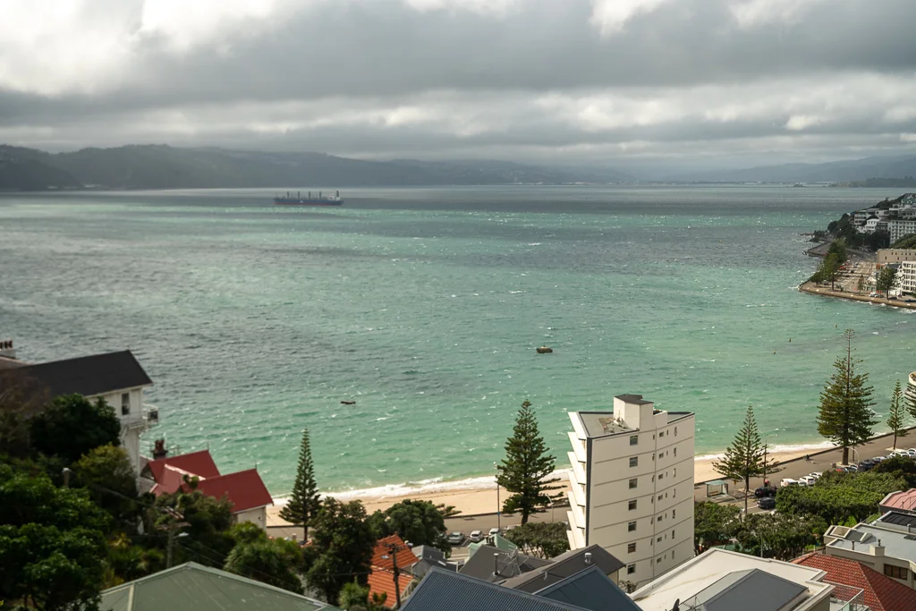 DSC07855.jpg