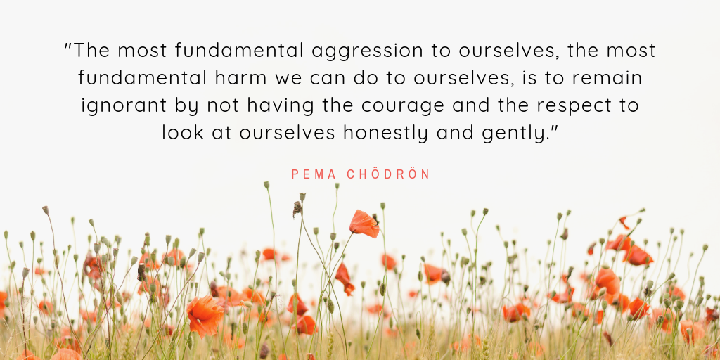 pema-chodron-quote