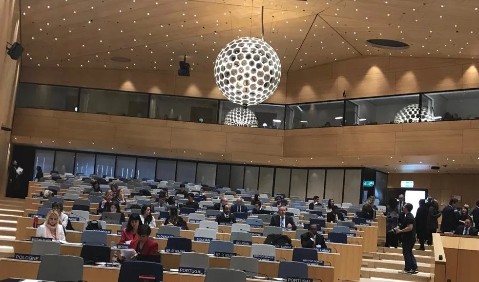 WIPO IGC 39: Unraveling the Tiered Approach to TK/TCEs