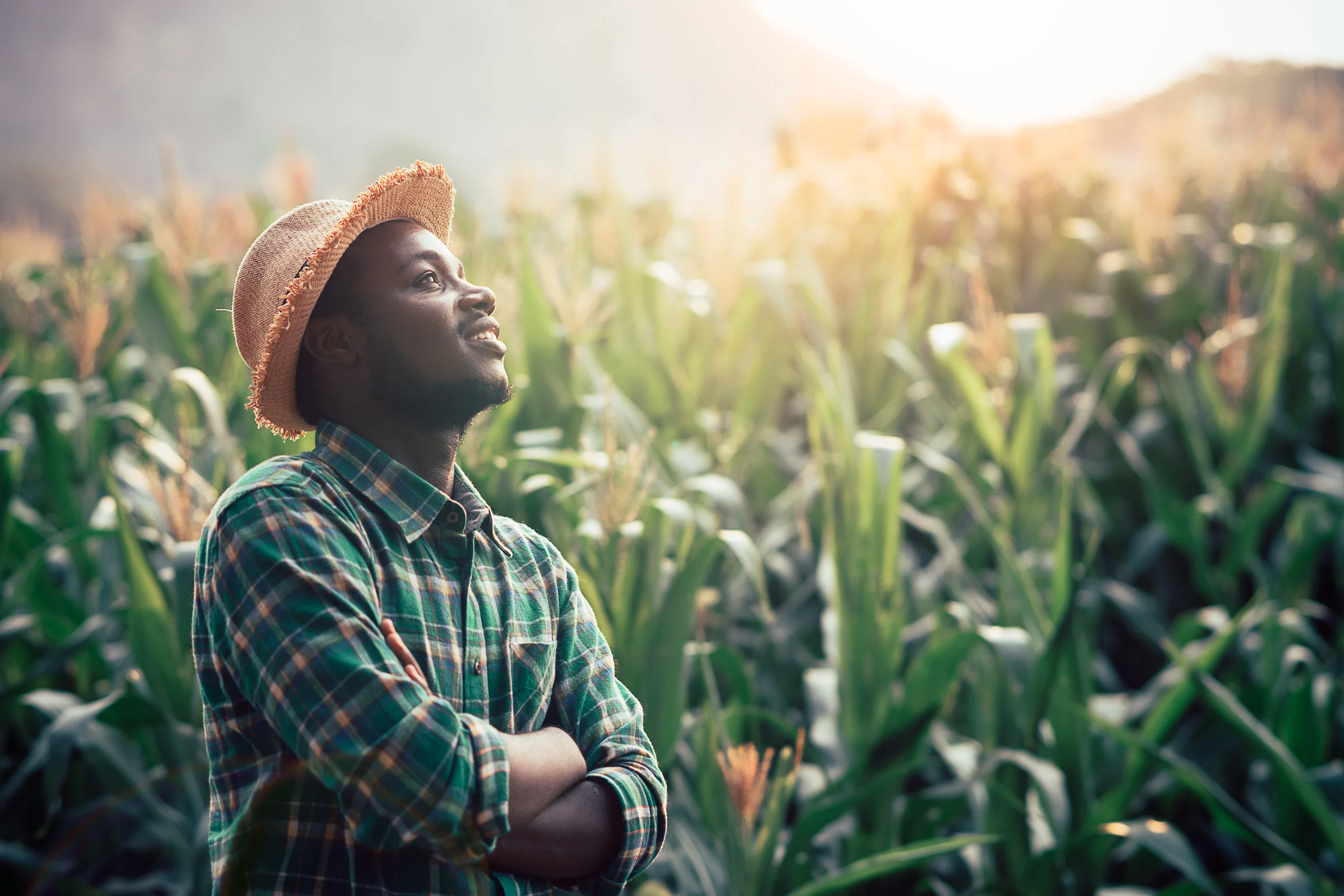 Agriculture and the Future of Africa