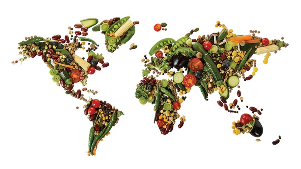 Toward a Constructive Engagement: Agricultural Biotechnology as a Public Health Incentive for Less Developed Countries