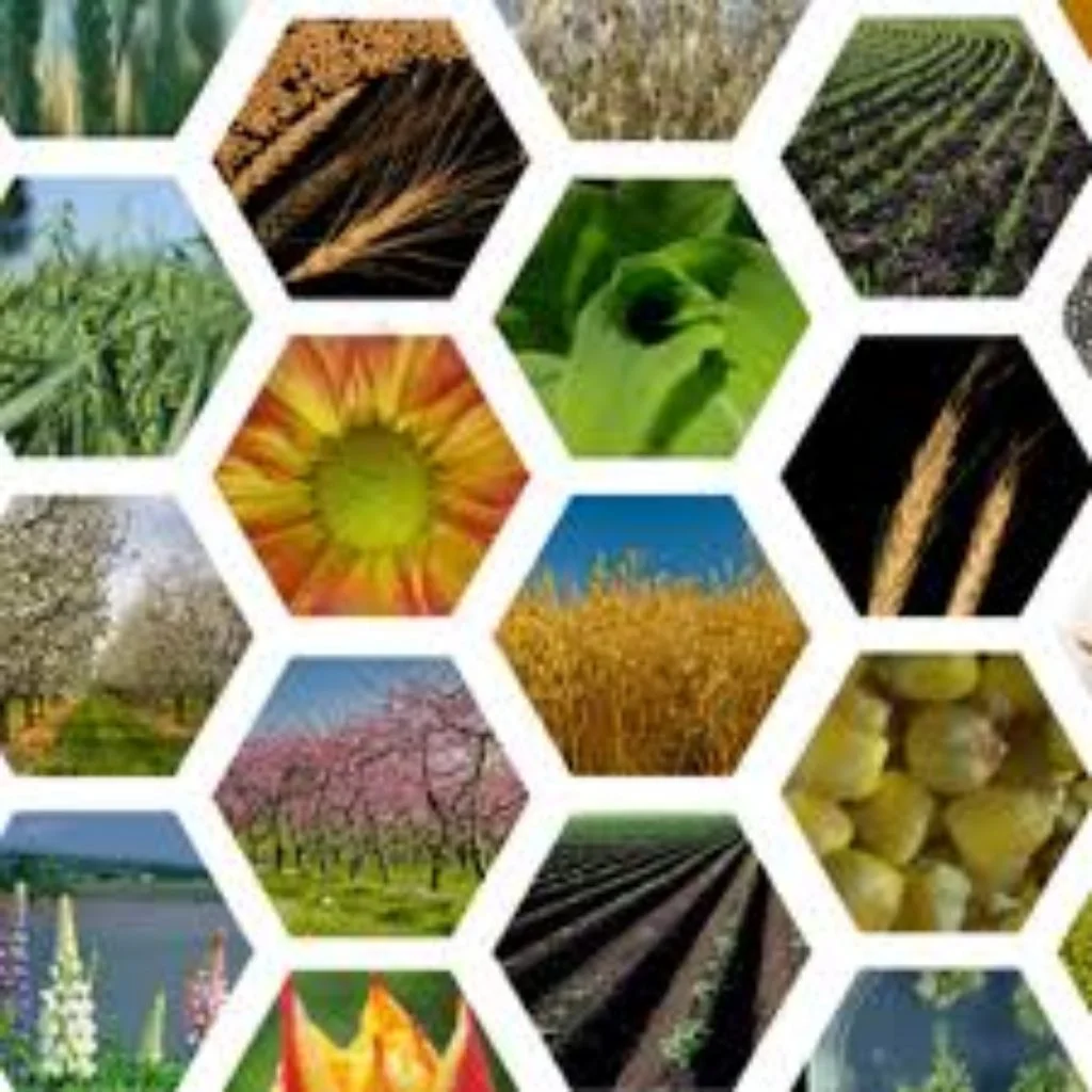 Open Innovation in Plant Genetic Resources for Food and Agriculture