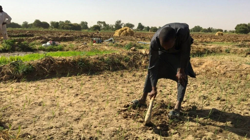 Trade Marks Regulations in Nigeria and the Challenges of TRIPS