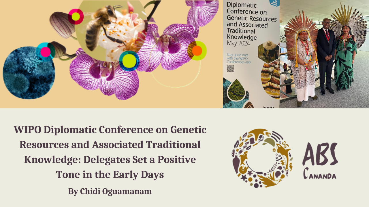 WIPO Diplomatic Conference on Genetic Resources and Associated Traditional Knowledge: Delegates Set a Positive Tone in the Early Days