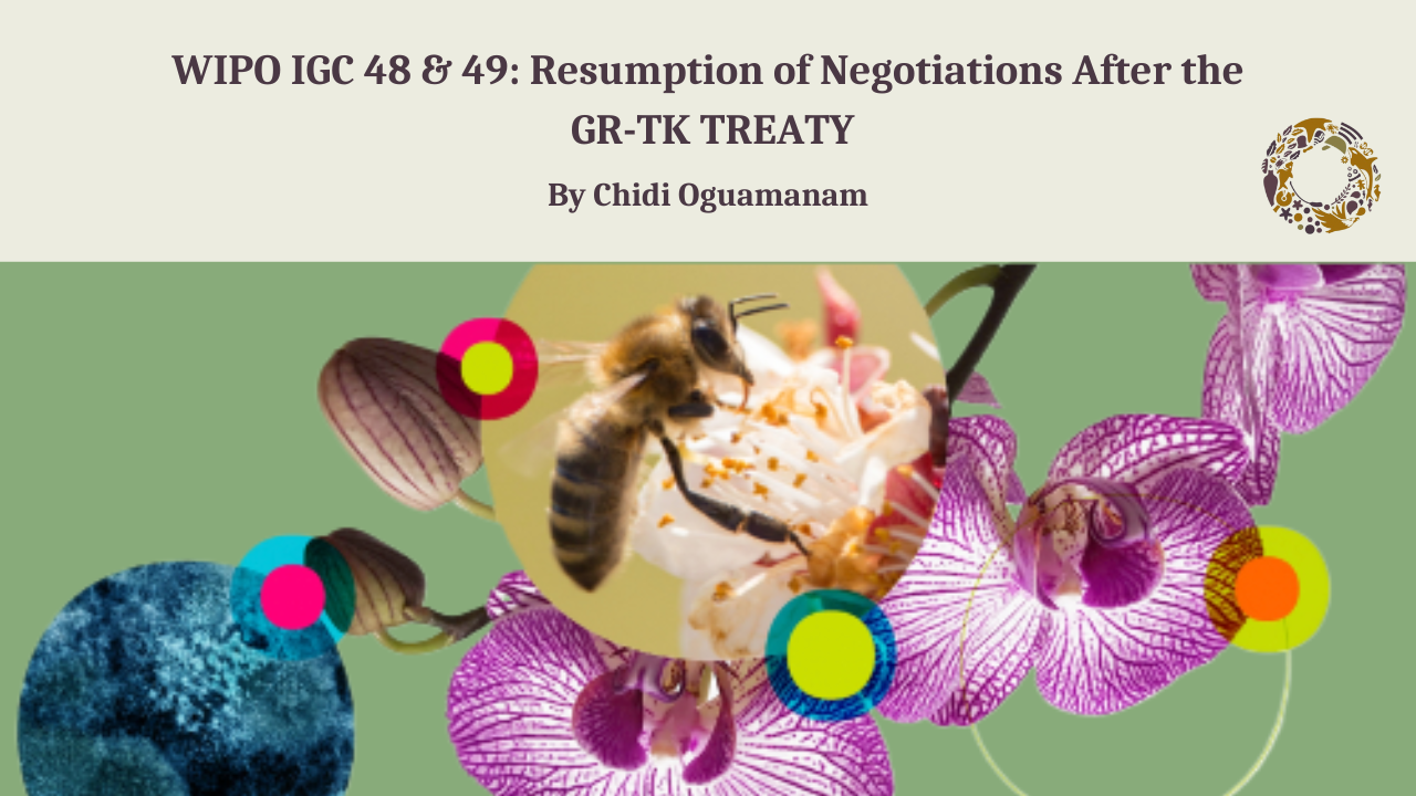 WIPO IGC 48 & 49: Resumption of Negotiations after the GR-TK Treaty