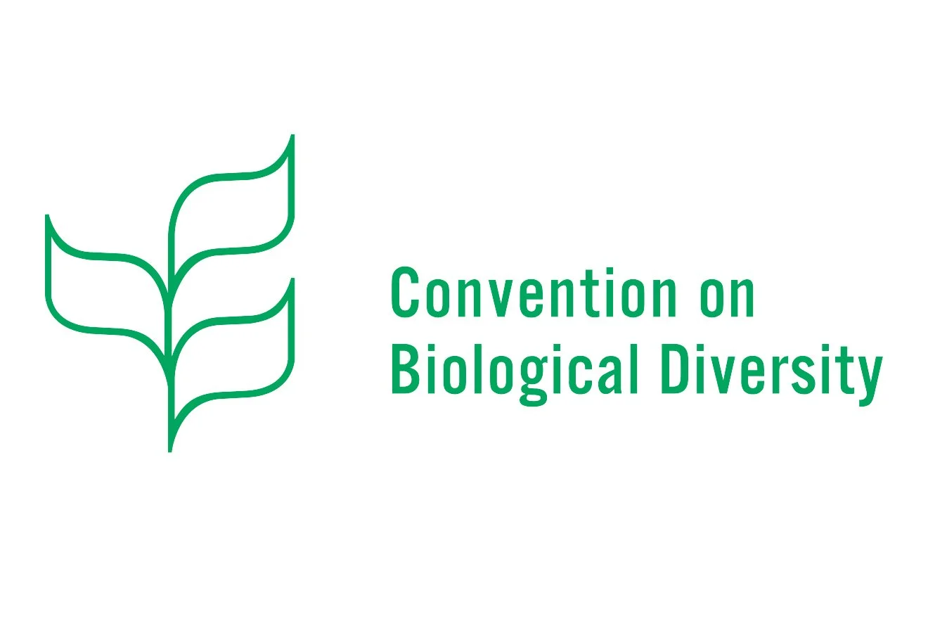 The Convention on Biological Diversity: IP, Access and Benefit-Sharing, and New Technologies for Sustainable Development
