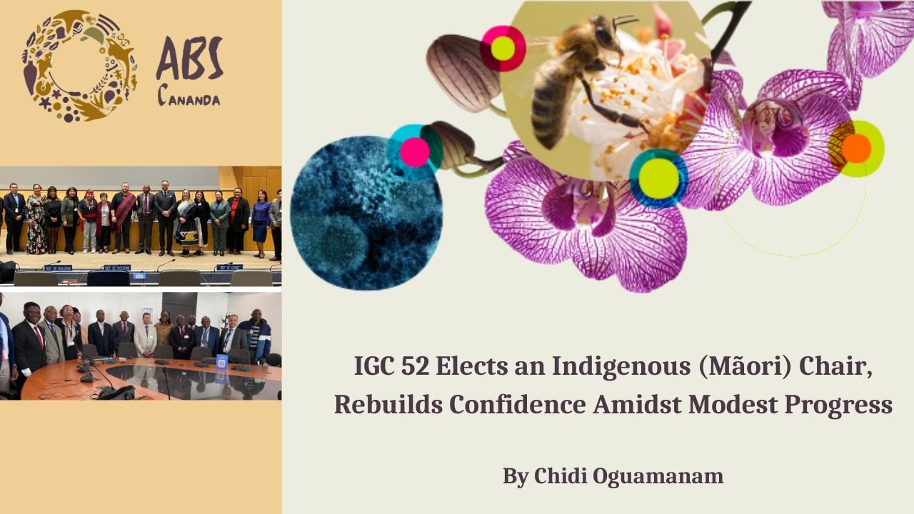 IGC 52 Elects an Indigenous (Mãori) Chair, Rebuilds Confidence Amidst Modest Progress