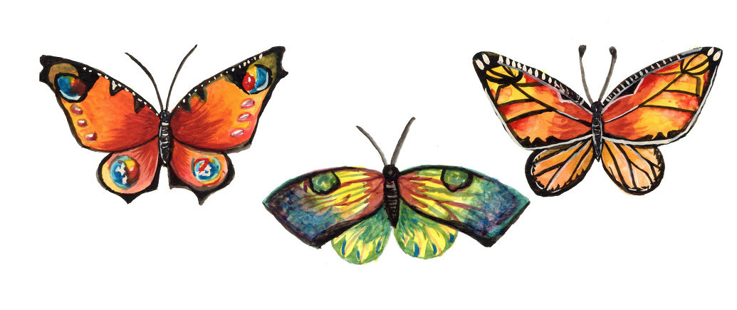 Butterfly Illustration.png