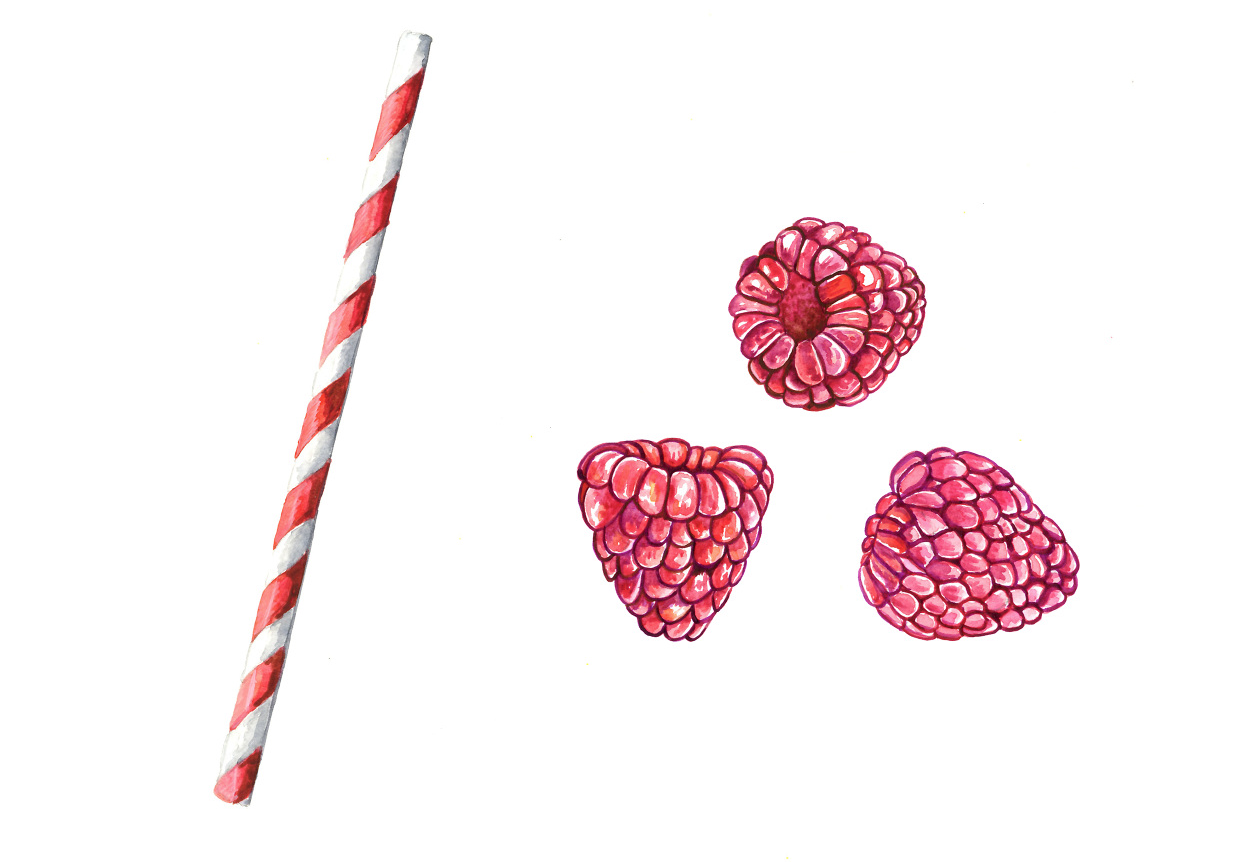 Straw Raspberries Illustration.png