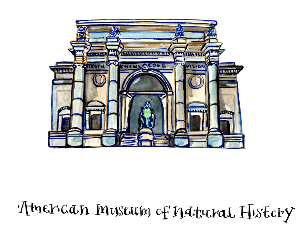 Natural History Museum Illustration.png