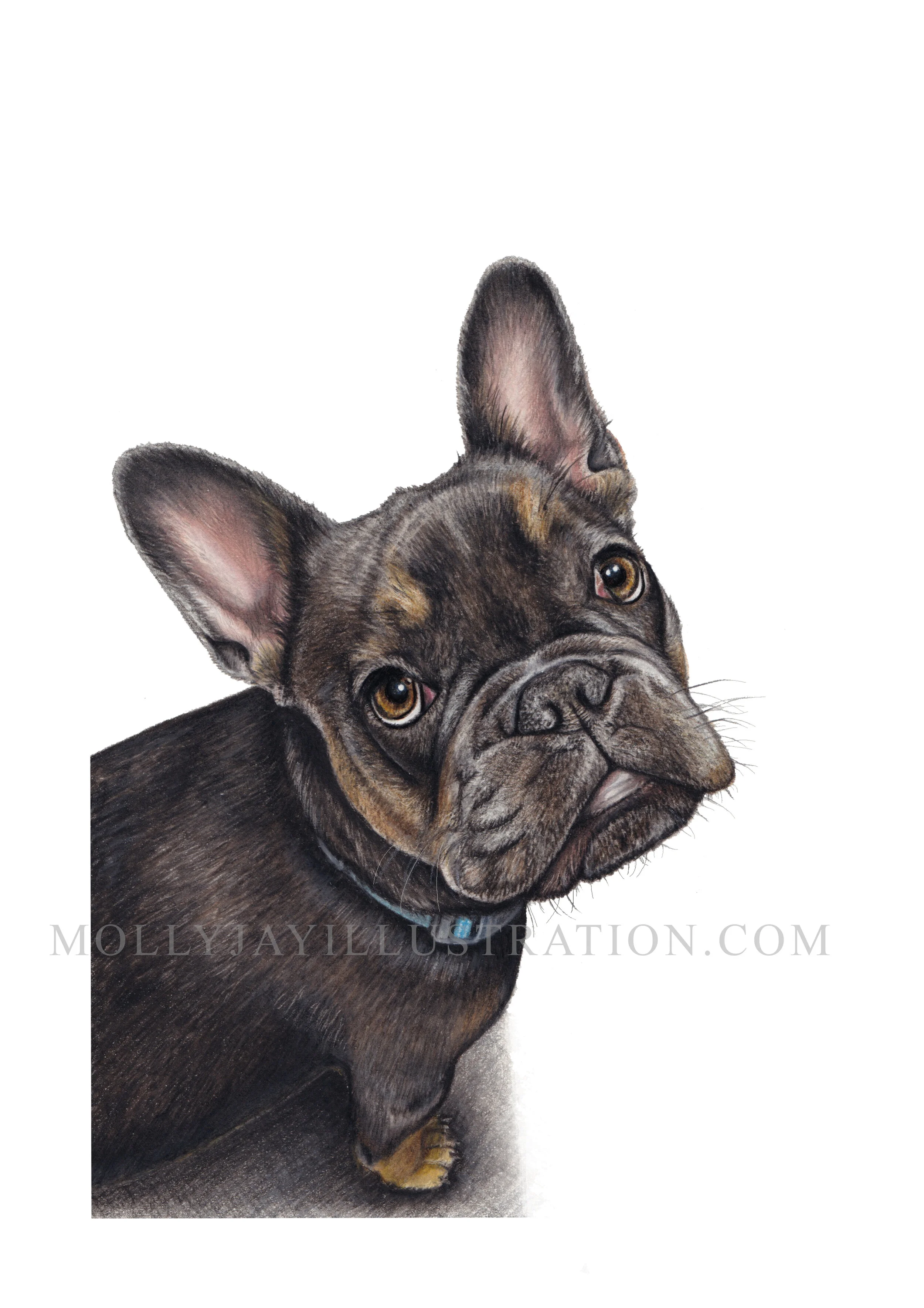 Buddy's Pet Portrait