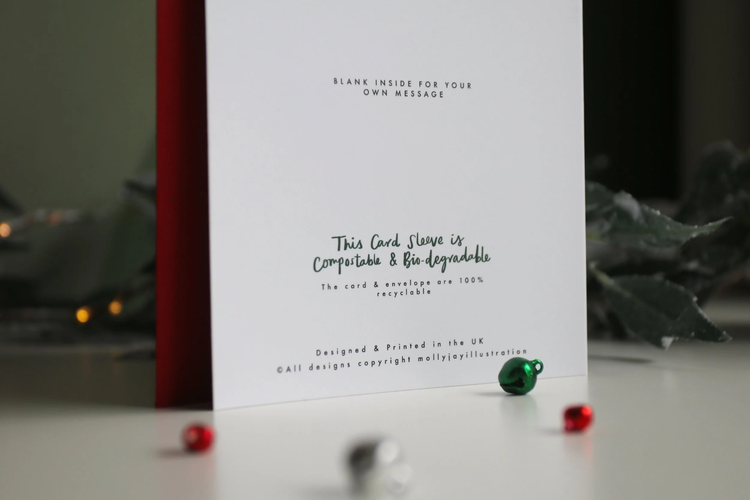 Letters To Santa Illustrated Christmas Card Molly Jay