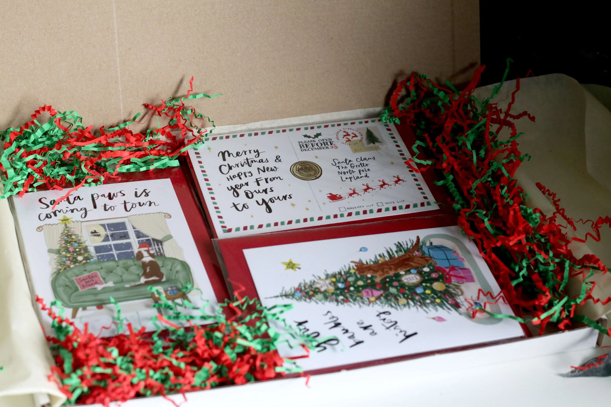 14 pack of christmas cards.jpg