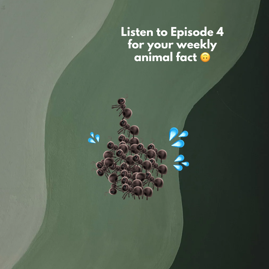 Screenshot 2024-05-28 at 07.58.34.PNG