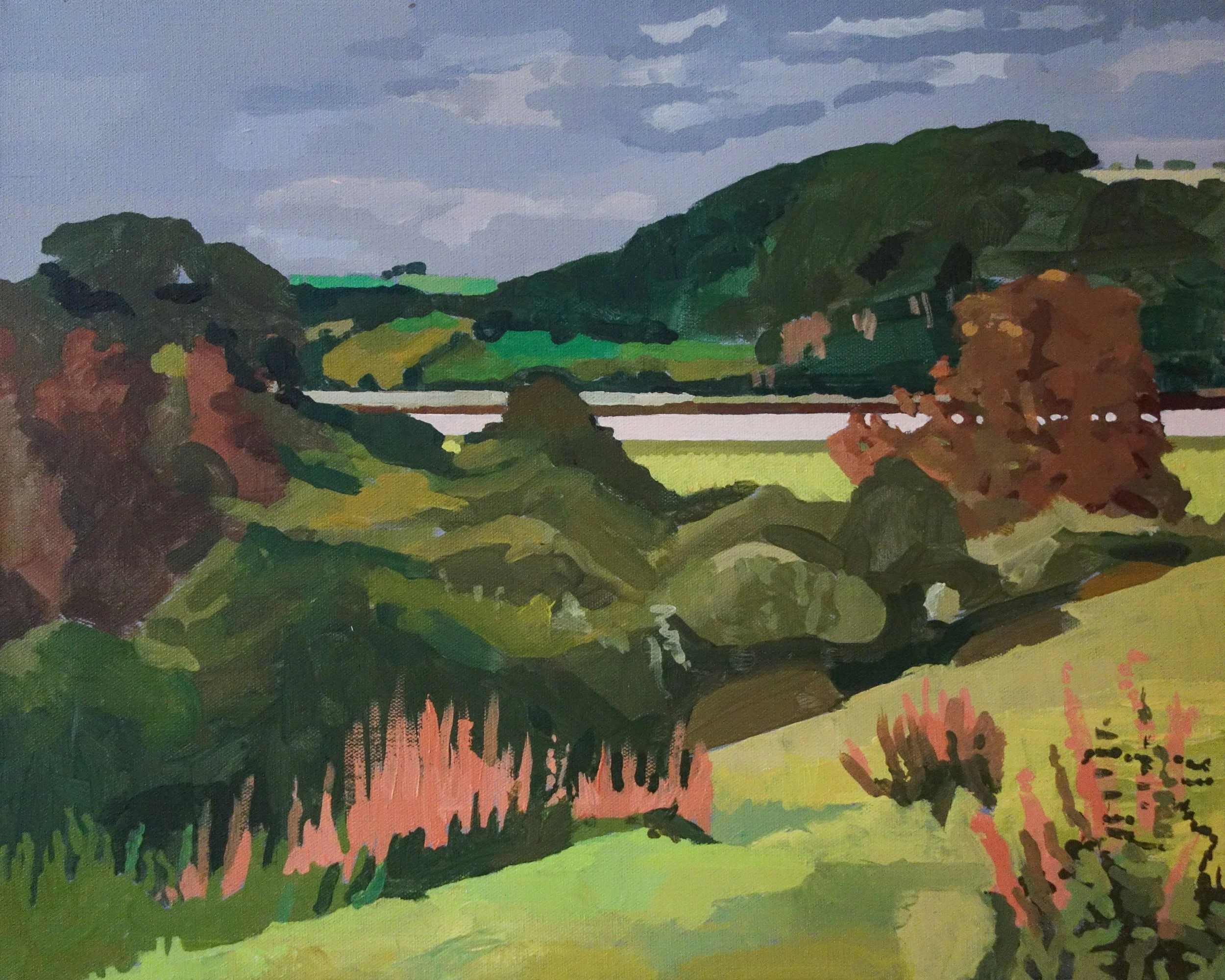Tamar river from Haye Farm  Mark Fielding .jpg