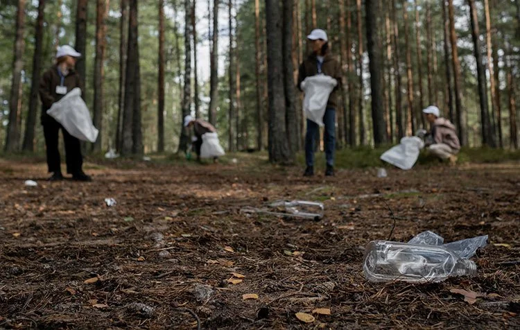 Nature-Inspired Team-building Activities