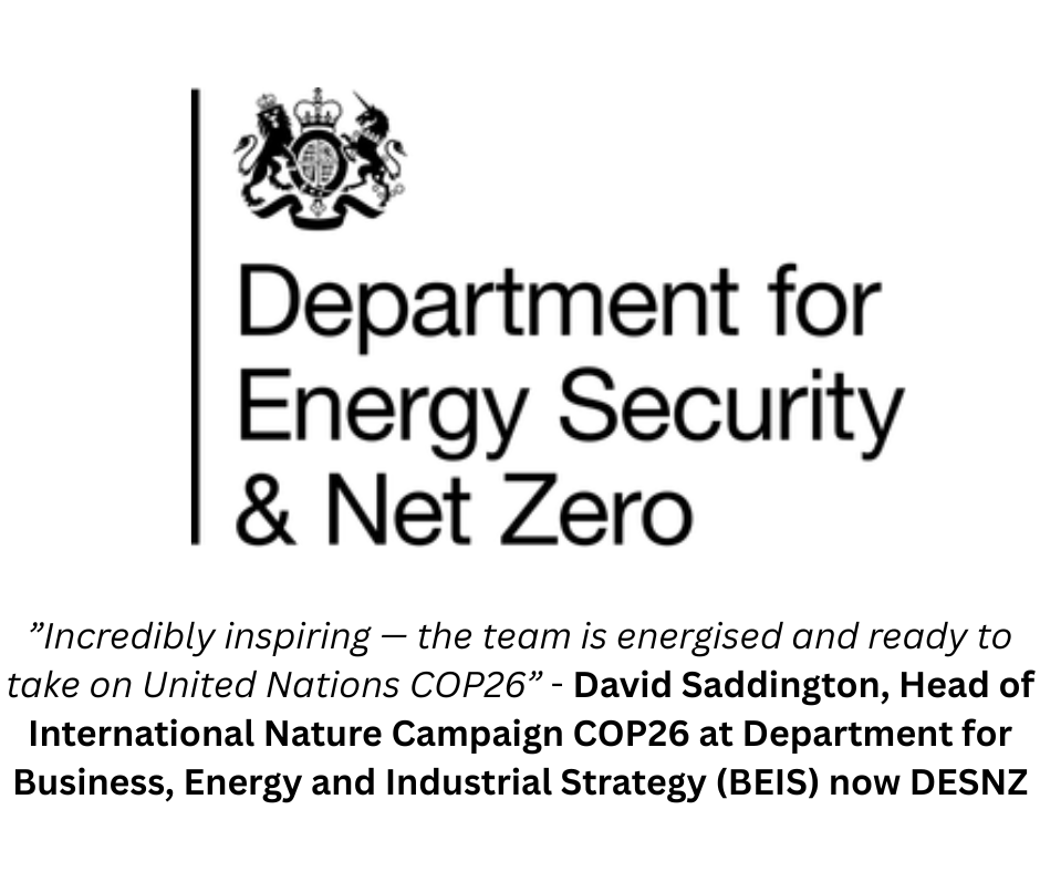 DESNZ testimonial - Energy.png