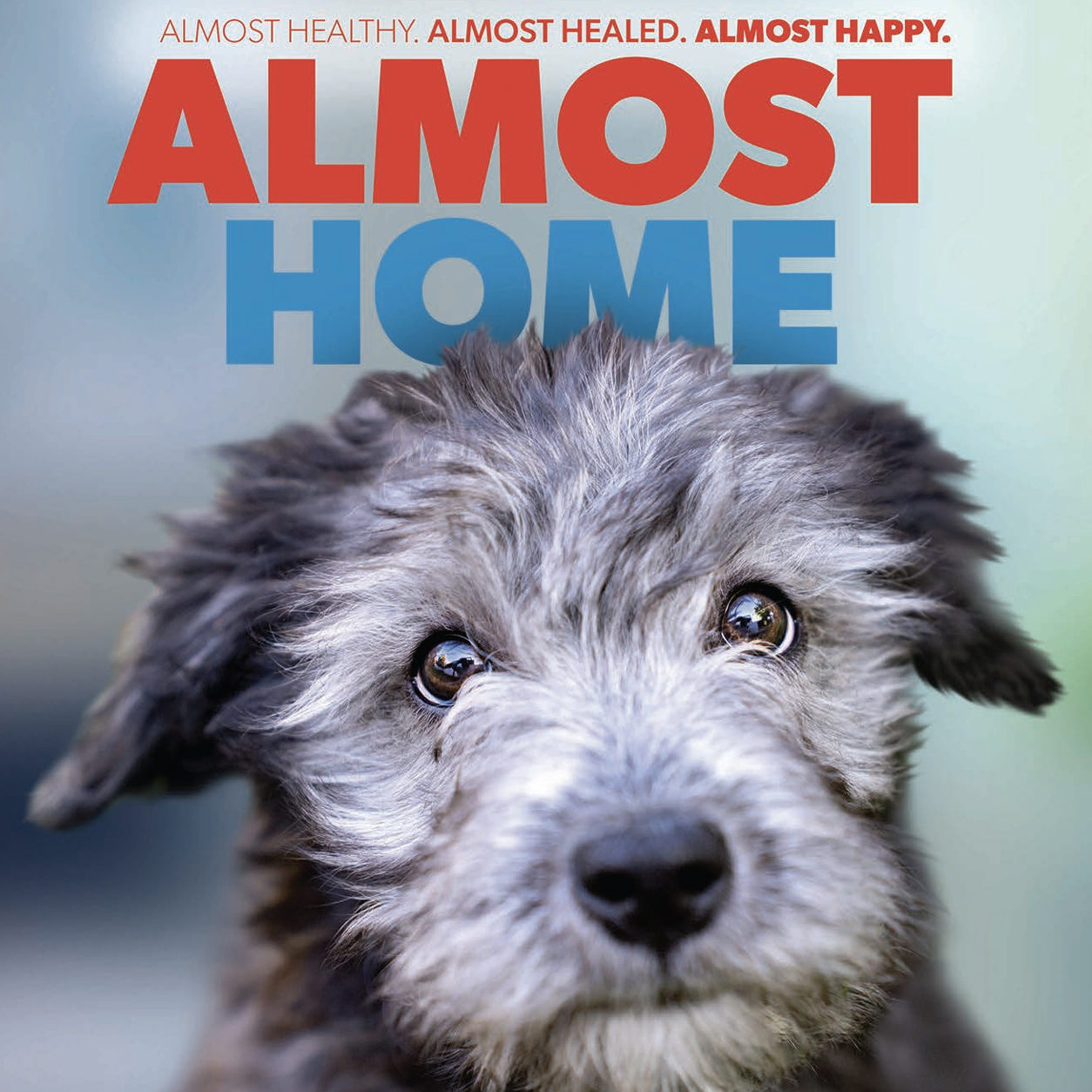 Regina Humane Society