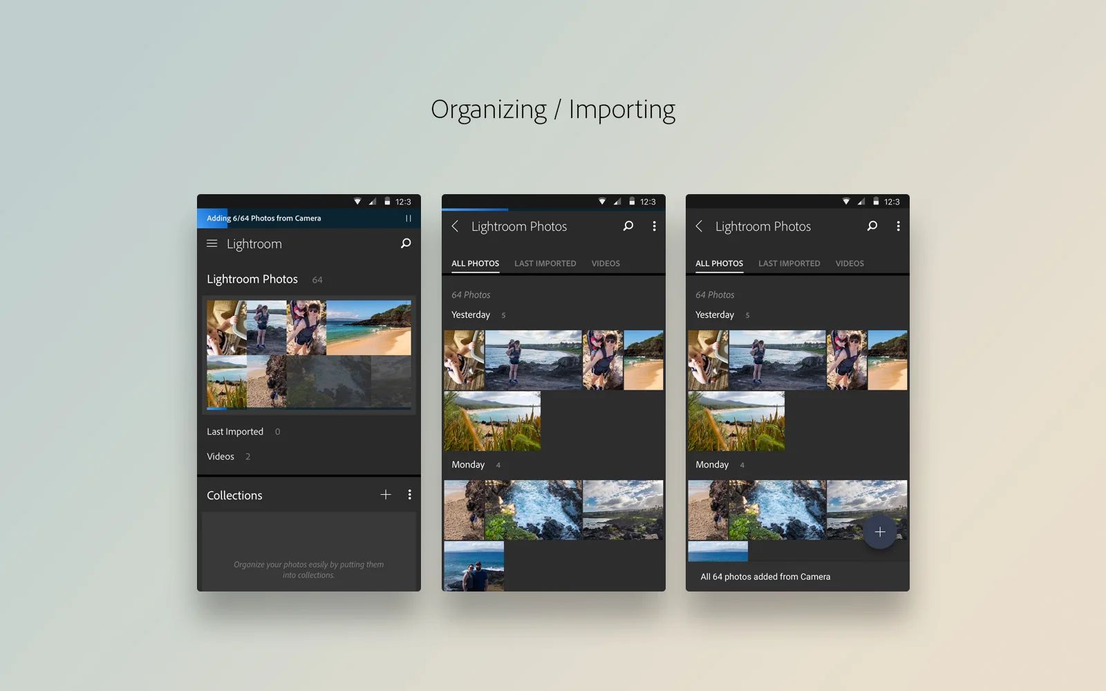 Importing.jpg