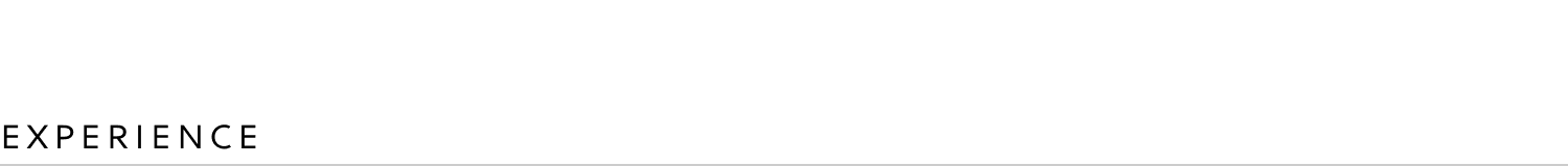 SFGT-Div-Experience.png