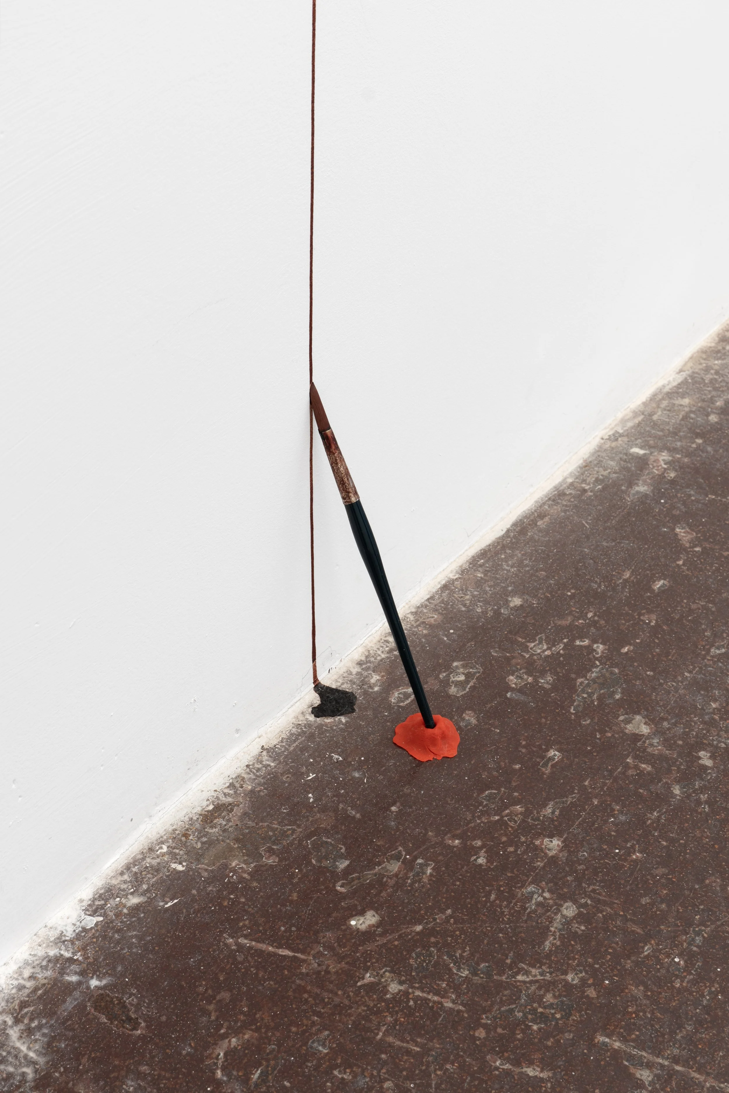 NFgalería_JanFabre_1125_130©PaulaCaballero.jpg