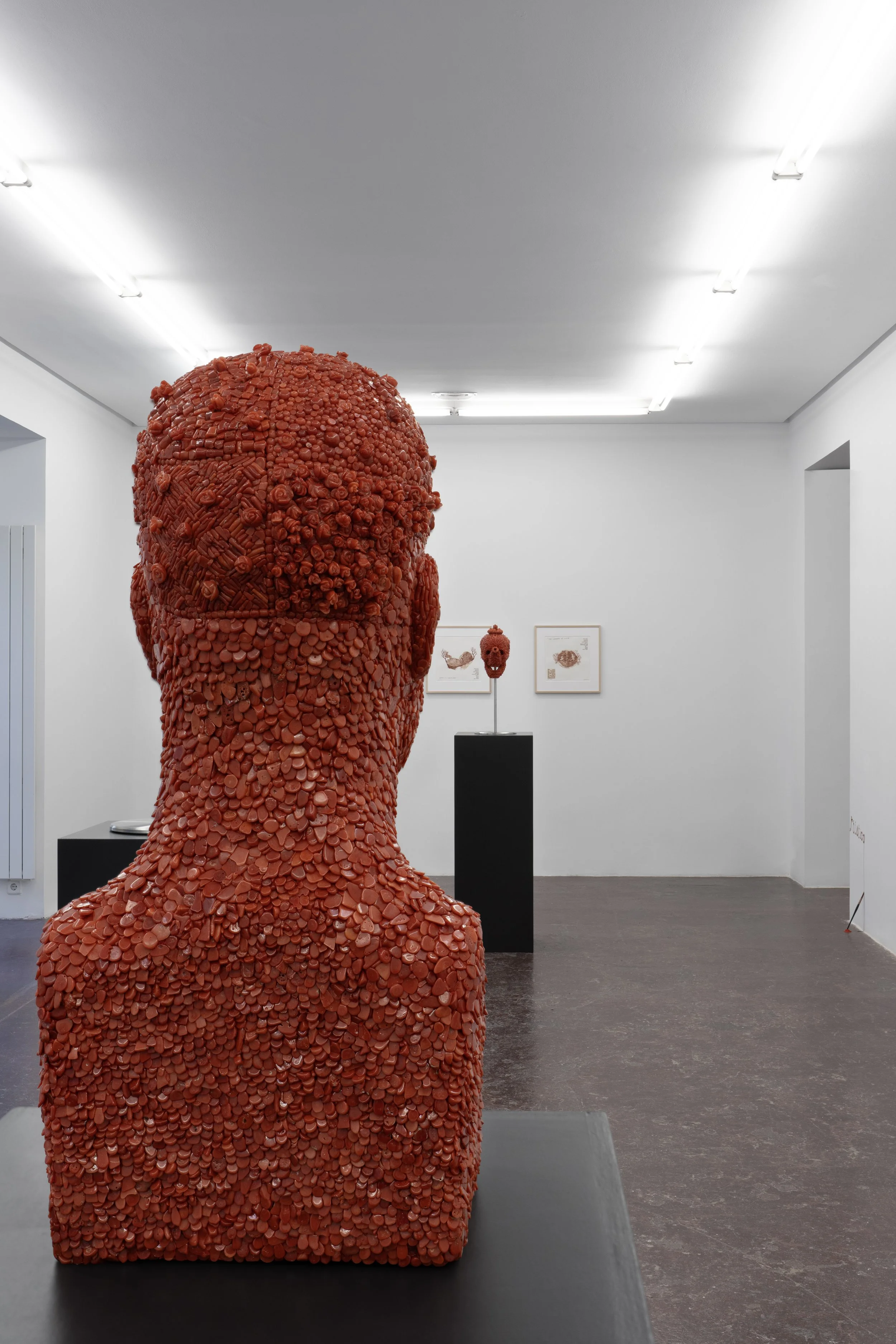 NFgalería_JanFabre_1125_170©PaulaCaballero.jpg