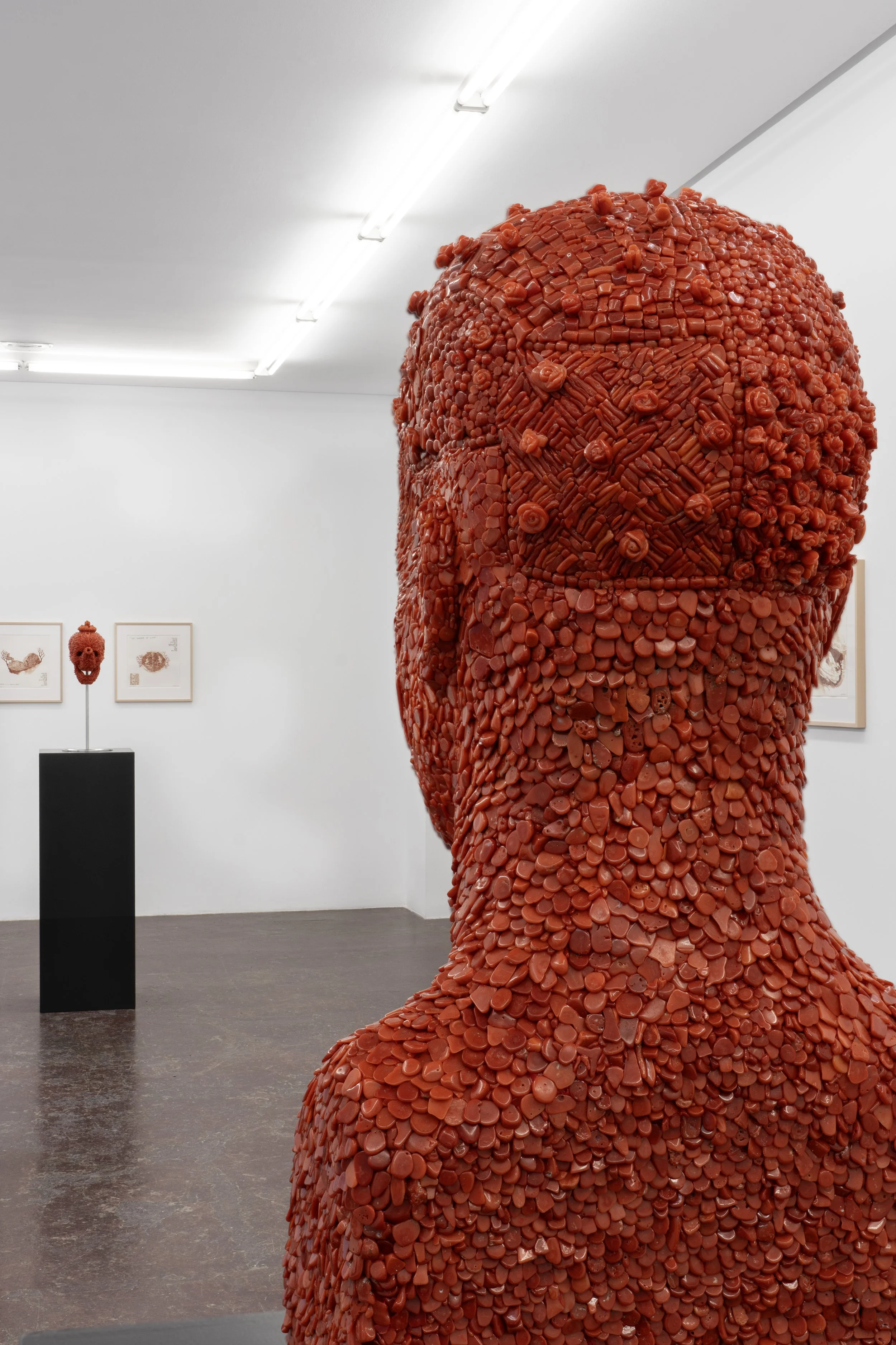 NFgalería_JanFabre_1125_176©PaulaCaballero.jpg