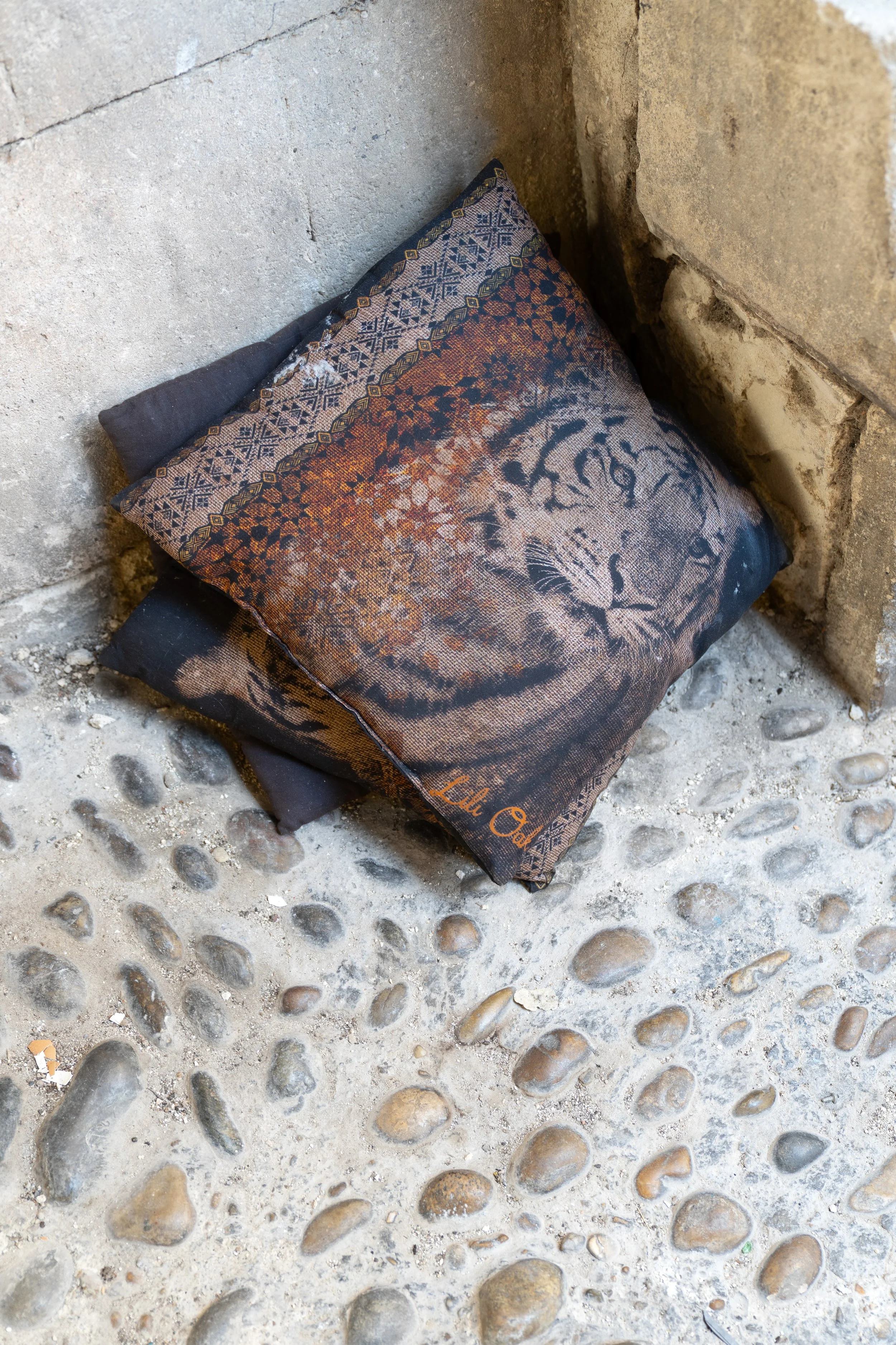 3_ARLES_PaulaCaballero_10_DSC09735 copia.JPG