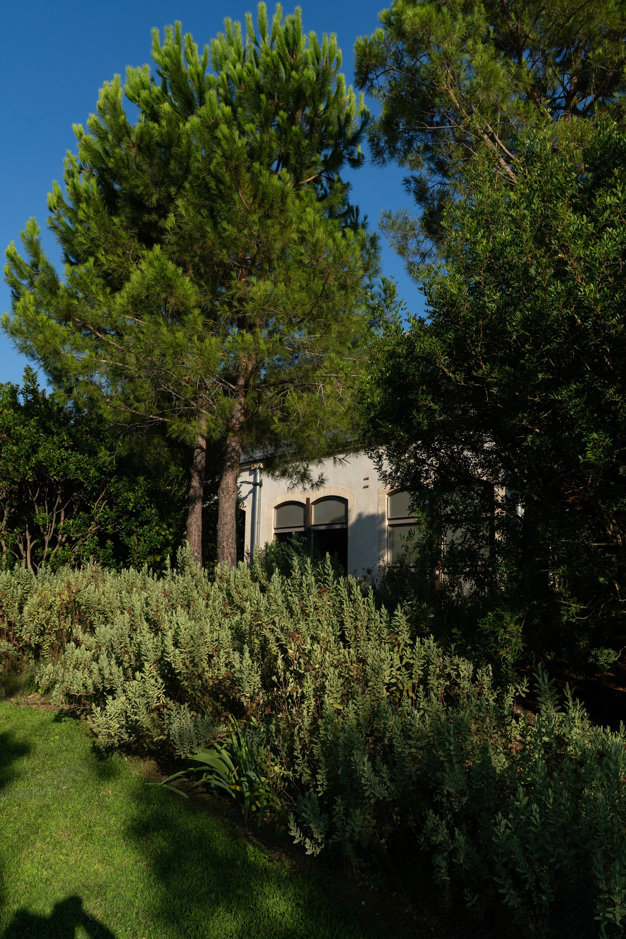 4_ARLES_PaulaCaballero_58_DSC00006 copia.JPG