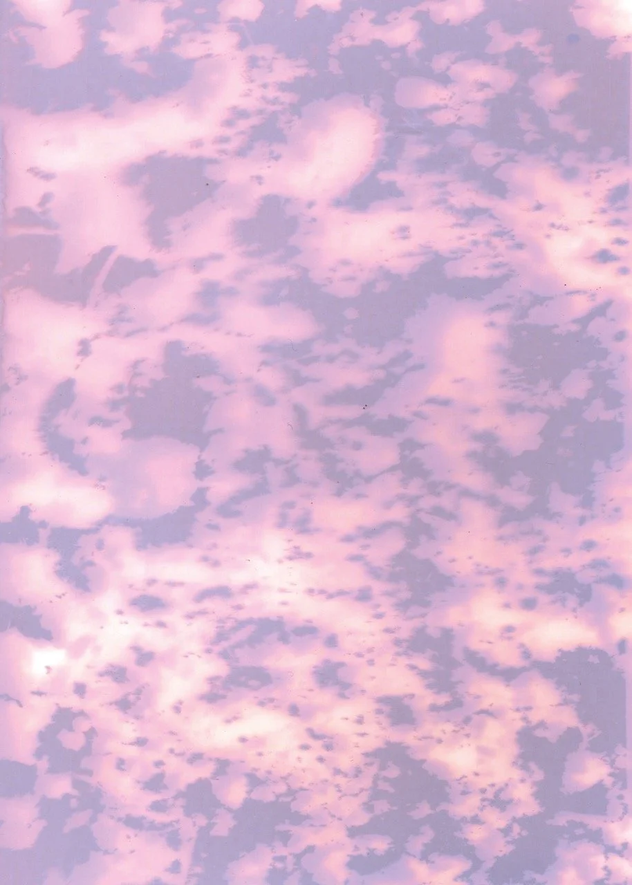 Moth Sensorium, Ascent