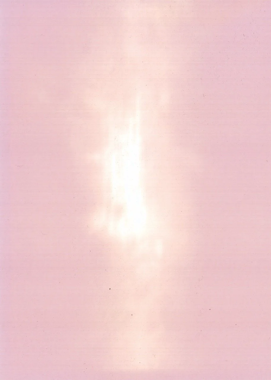 Moth Sensorium, Stellar Compass