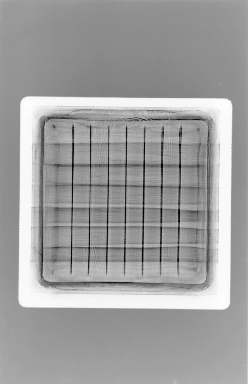 Escanear 2 Large.jpeg