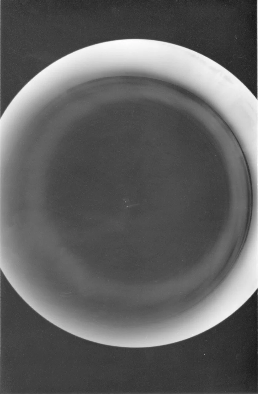 Escanear 3 Large.jpeg