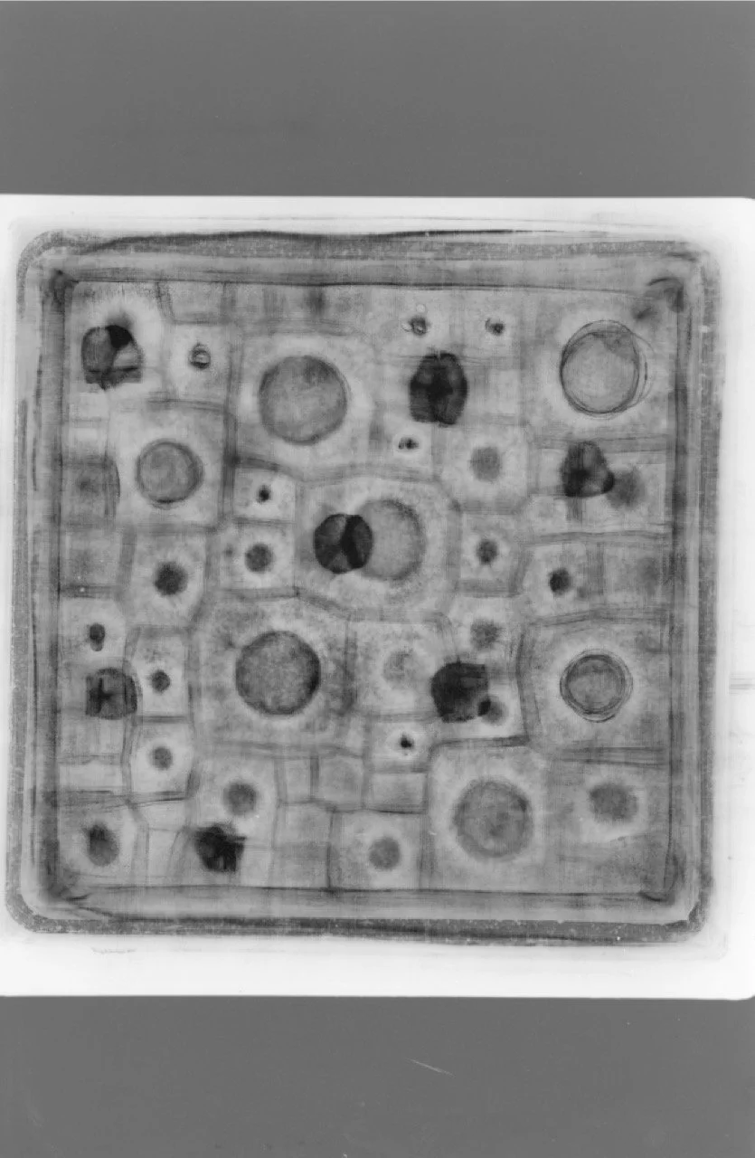 Escanear 8 Large.jpeg