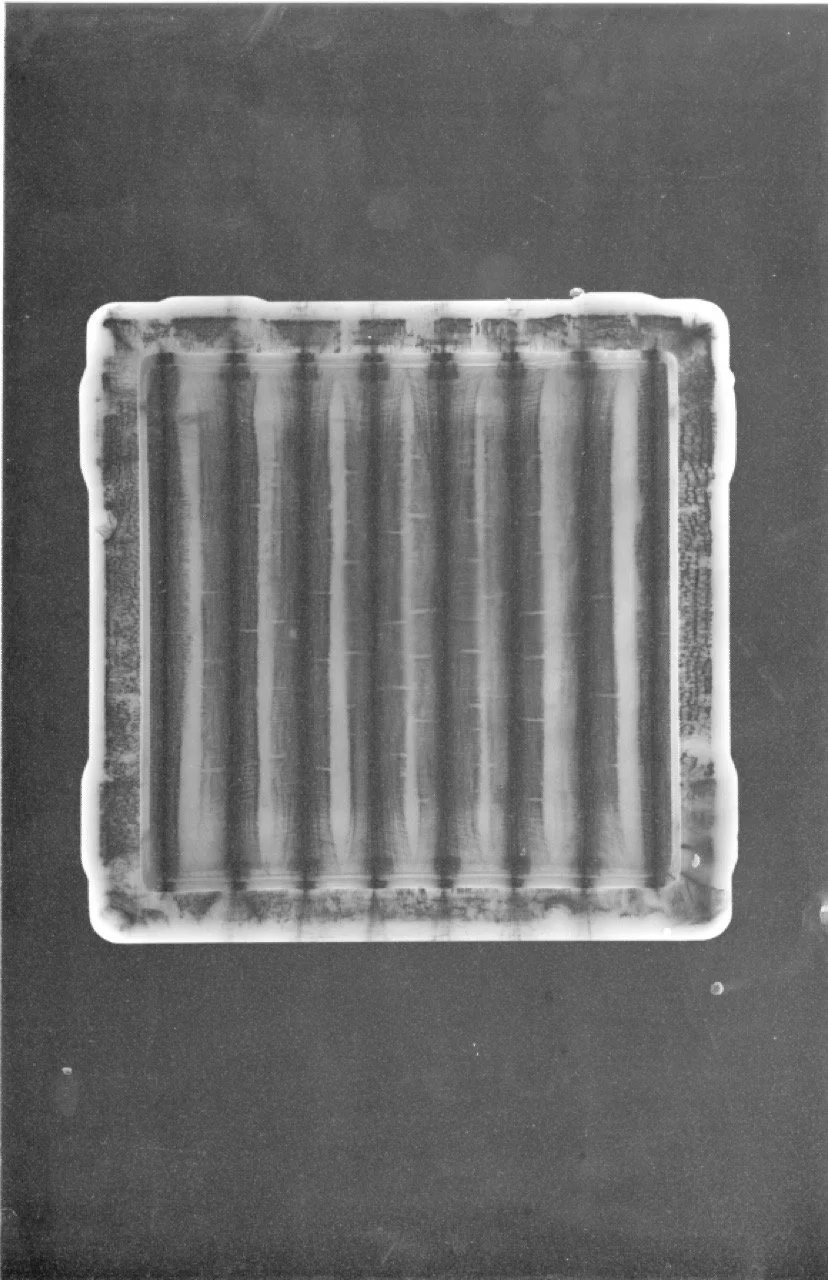 Escanear 17 Large.jpeg